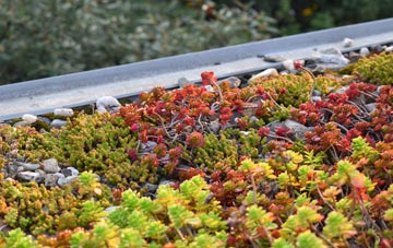 the cost of Hatherop green roof installation