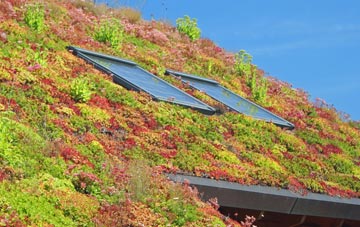 Hatherop living roof systems